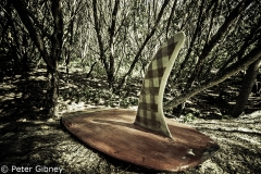 surfingart byron bay-1466