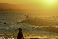 surfingart byron bay-2-5