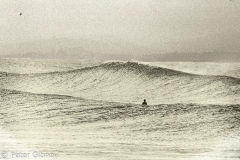 Perfect Surf The Wreck Byron Bay Single Surfer  on the shoulder Sepia  Fine Art