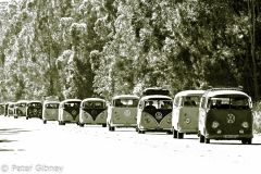 VW Split Bus Convoy